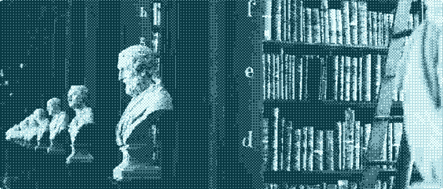 Représentation contentieuse