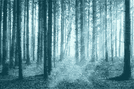 Annexion à un PLU des terrains concernés par les obligations de débroussaillement