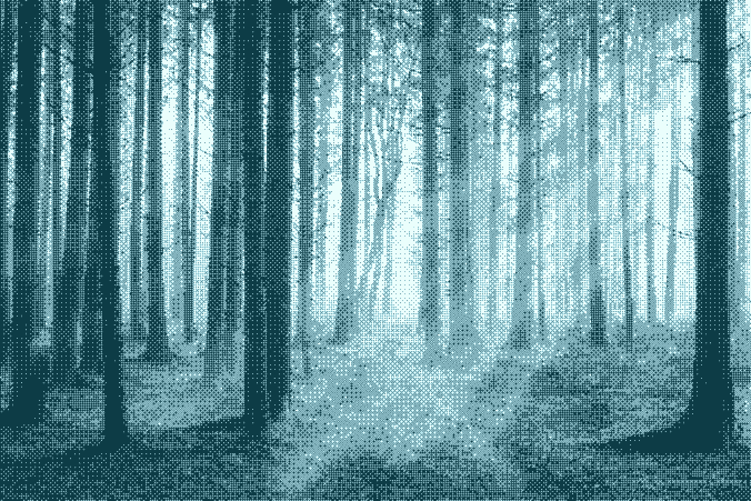 Annexion à un PLU des terrains concernés par les obligations de débroussaillement