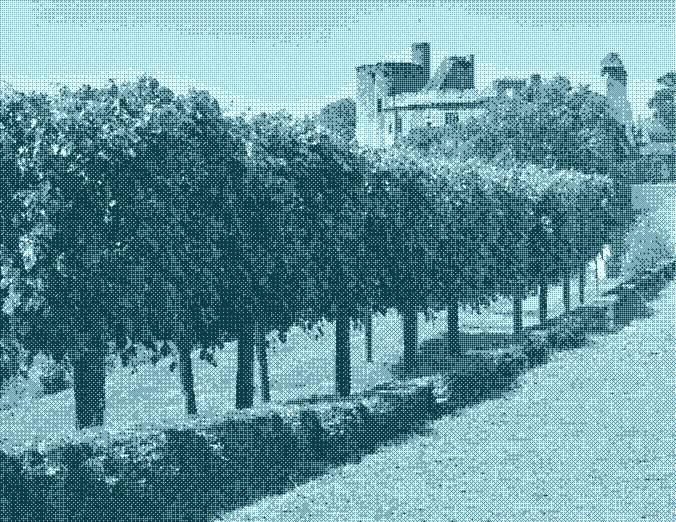 Pas de régime de protection lorsque l’alignement d’arbres se situe en retrait d’une clôture