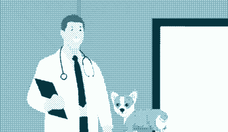 Chambres disciplinaires ordinales : précisions sur les conséquences de son incomplétude