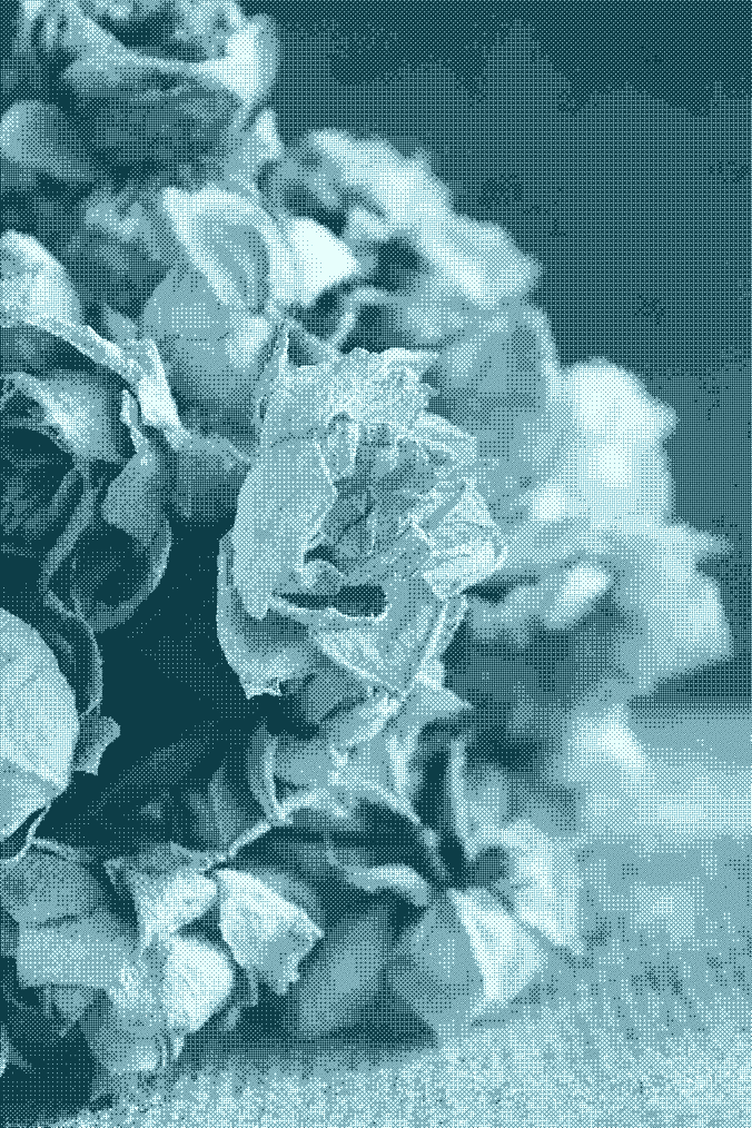 Loi 3DS : le régime juridique des métaux issus de la crémation des défunts en suspens ?