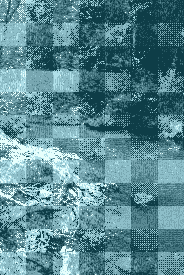 Préjudice écologique