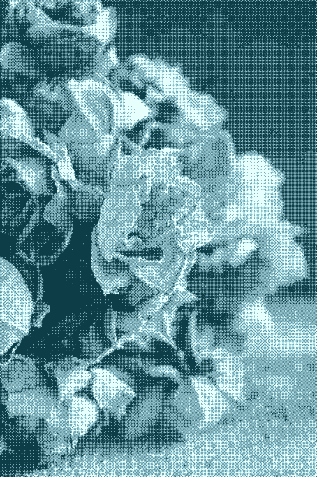 Loi 3DS : le régime juridique des métaux issus de la crémation des défunts en suspens ?